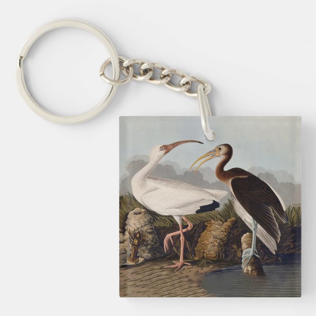 John James Audubon White Ibis Bird Print Classic Key Ring (Front)