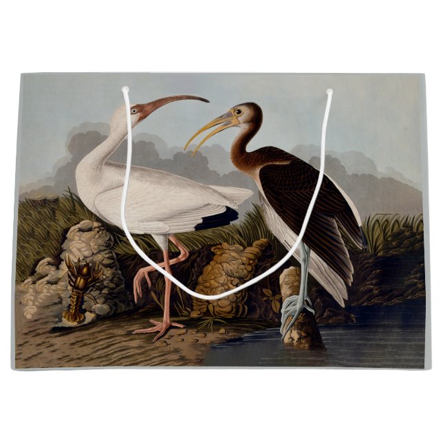 John James Audubon White Ibis Bird Print Classic Large Gift Bag (Front)
