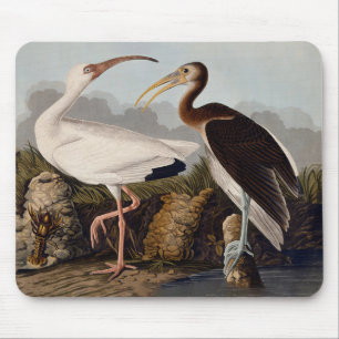 John James Audubon White Ibis Bird Print Classic Mouse Mat