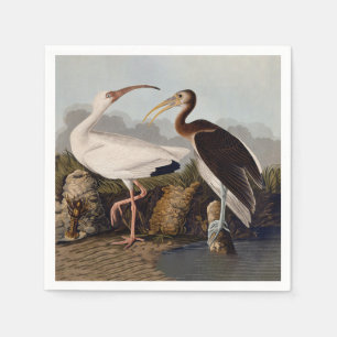 John James Audubon White Ibis Bird Print Classic Napkin