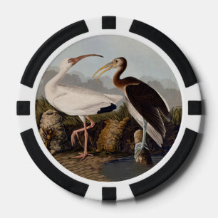 John James Audubon White Ibis Bird Print Classic Poker Chips