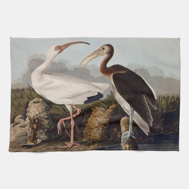 John James Audubon White Ibis Bird Print Classic Tea Towel (Horizontal)