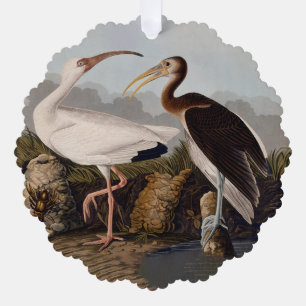 John James Audubon White Ibis Bird Print Classic Tree Decoration Card