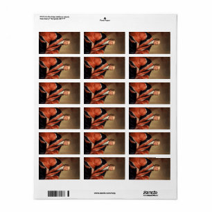 John Jay, 1794 by Gilbert Stuart Label