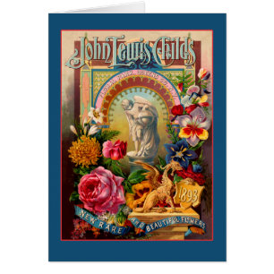 John Lewis Childs Rare Flowers Seed Packet