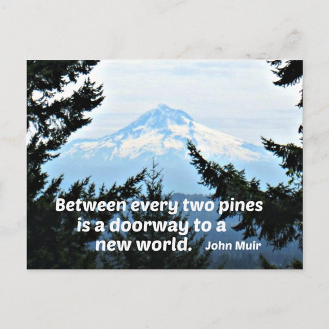 John Muir: "Between every two pines is a doorway" Postcard (Front)