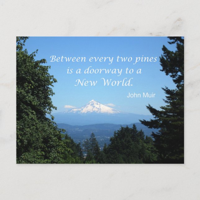 John Muir: "Between every two pines is a doorway" Postcard (Front)