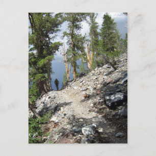 John Muir Trail Hiker - Sierra Nevada Mountains Postcard