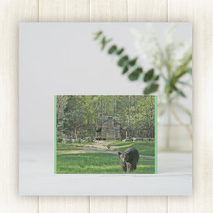 John Oliver Cabin Postcard