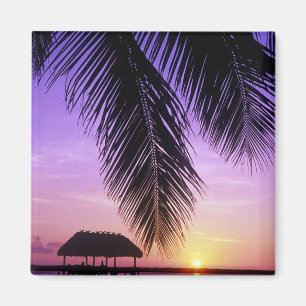 John Pennekamp State Park, Florida Keys, Key Magnet