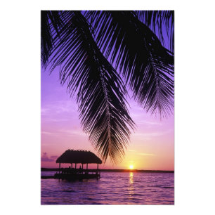 John Pennekamp State Park, Florida Keys, Key Photo Print