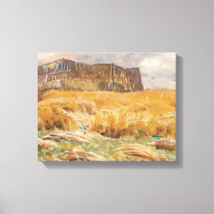 John Singer Sargent - Camouflaged Field in France Canvas Print