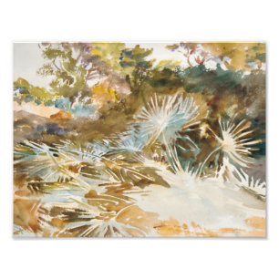 John Singer Sargent - Landscape with Palmettos Photo Print