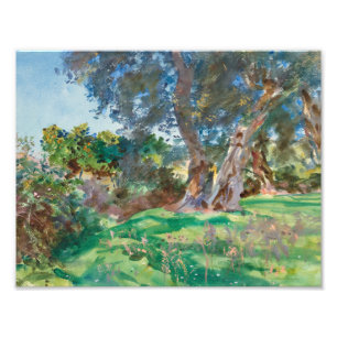 John Singer Sargent - Olive Trees, Corfu Photo Print