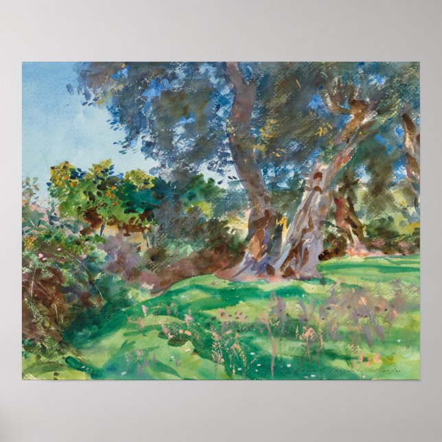 John Singer Sargent - Olive Trees, Corfu Poster (Front)