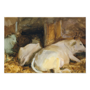 John Singer Sargent - Three Oxen Photo Print