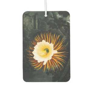John Thornton The Night-Blowing Cereus Botanical Car Air Freshener