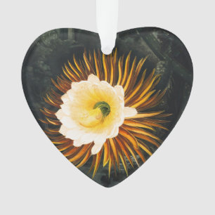 John Thornton The Night-Blowing Cereus Botanical Ornament