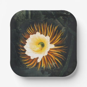 John Thornton The Night-Blowing Cereus Botanical Paper Plate
