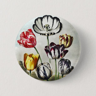 John Thornton Tulips from The Temple of Flora 6 Cm Round Badge