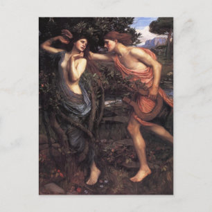 John William Waterhouse- Apollo and Daphne Postcard