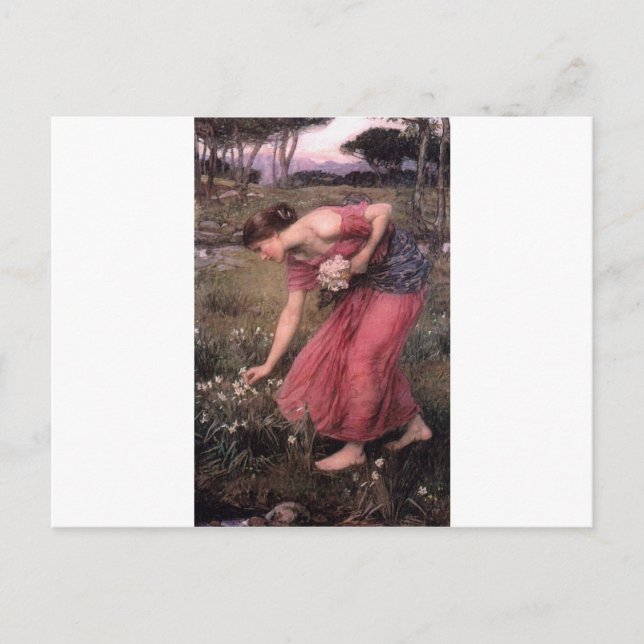 John William Waterhouse - Narcissus - Fine Art Postcard (Front)