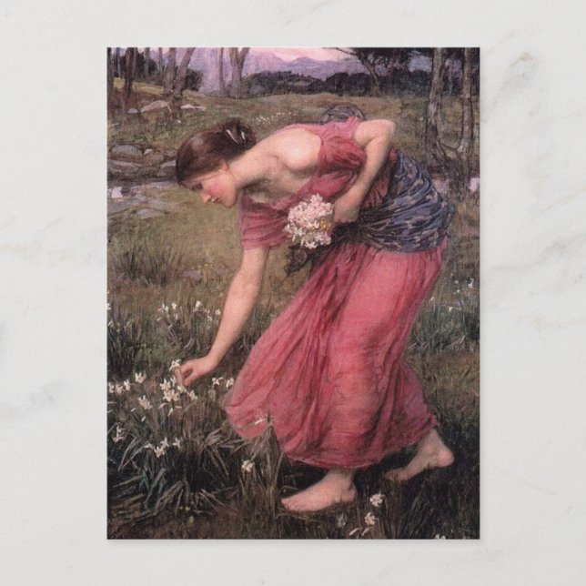 John William Waterhouse - Narcissus - Fine Art Postcard (Front)