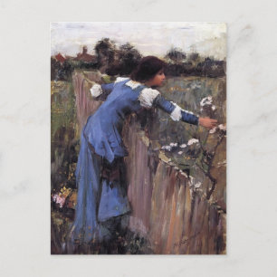 John William Waterhouse- The Flower Picker Postcard