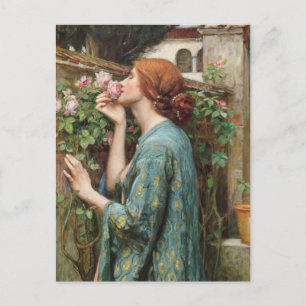 John William Waterhouse The Soul of the Rose 1908  Postcard