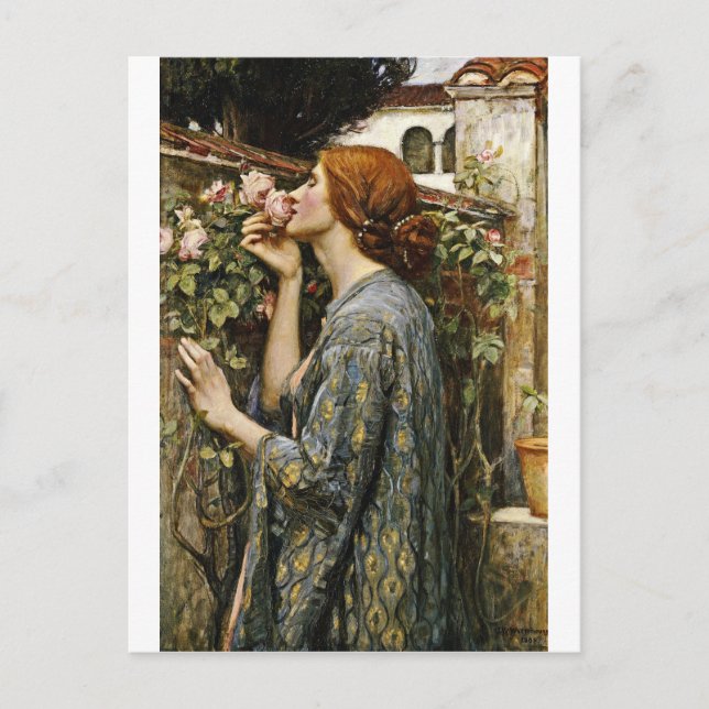John William Waterhouse - The Soul Of The Rose Postcard (Front)
