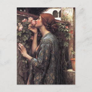John William Waterhouse- The Soul of the Rose Postcard