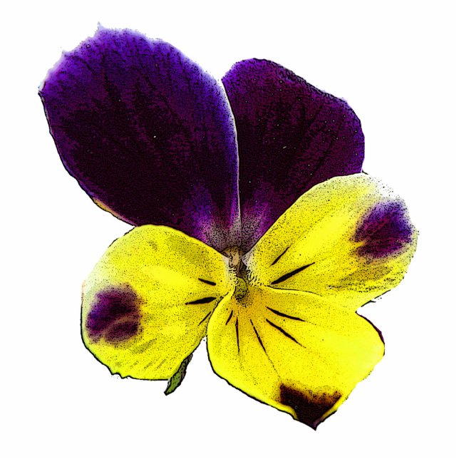 Johnny Jump Up Hanging Christmas Acrylic Photo Sculpture Decoration (Front)