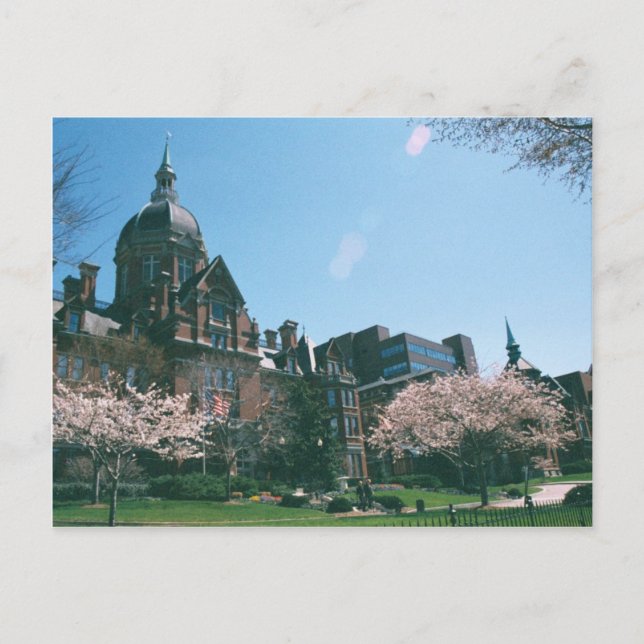 Johns Hopkins Hospital Postcard (Front)