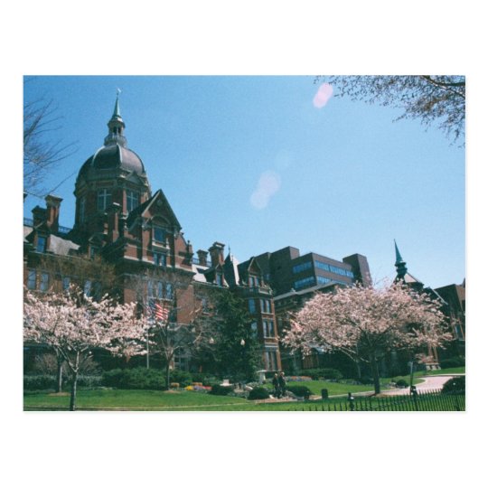 Johns Hopkins Hospital Postcard