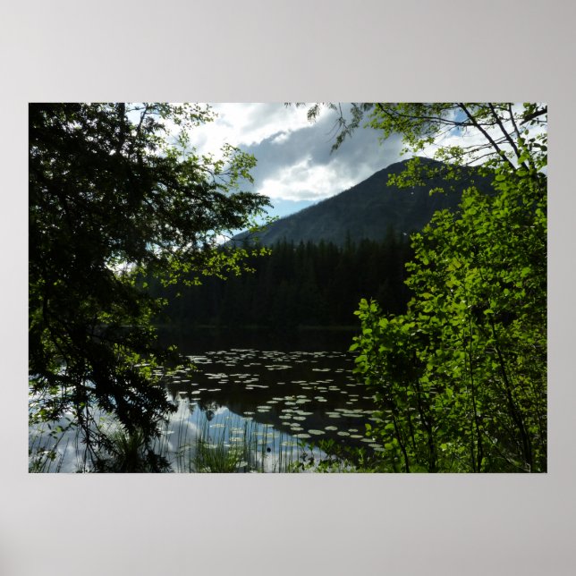 Johns Lake I at Glacier National Park Poster (Front)