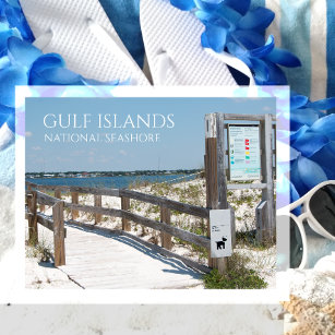 Johnson Beach Entrance, Gulf Islands NS, Florida Postcard
