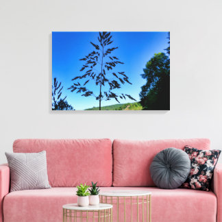Johnson Grass Canvas Print