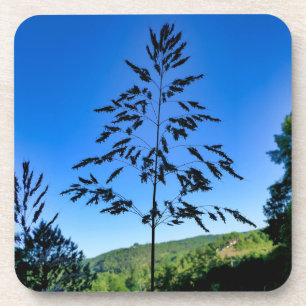 Johnson Grass Coaster