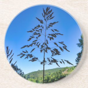 Johnson Grass Coaster
