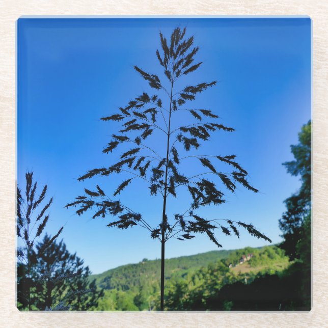Johnson Grass Glass Coaster (Front)