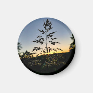 Johnson Grass Magnet