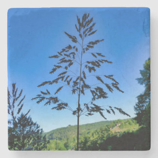 Johnson Grass Stone Coaster