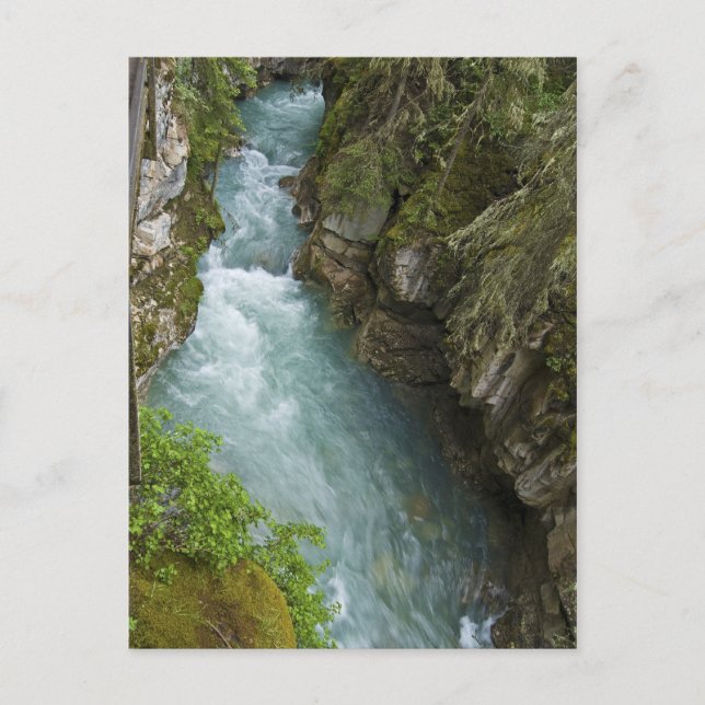 Johnston Canton Postcard (Front)