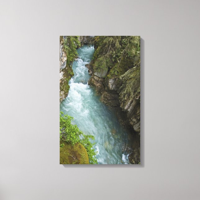 Johnston Canyon Canvas Print (Front)