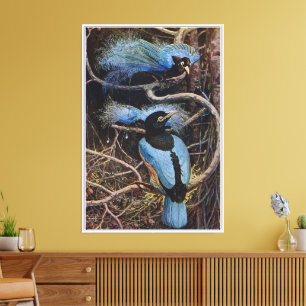 Johnston Vintage Blue Bird Paradise Illustration Canvas Print