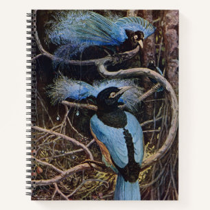 Johnston Vintage Blue Bird Paradise Illustration Notebook
