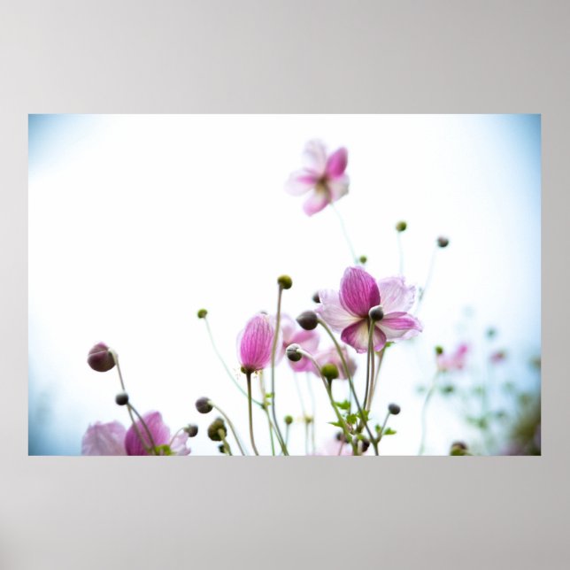 Joie de Vivre Poster (Front)