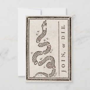  Join or Die Benjamin Franklin Political Cartoon  Thank You Card