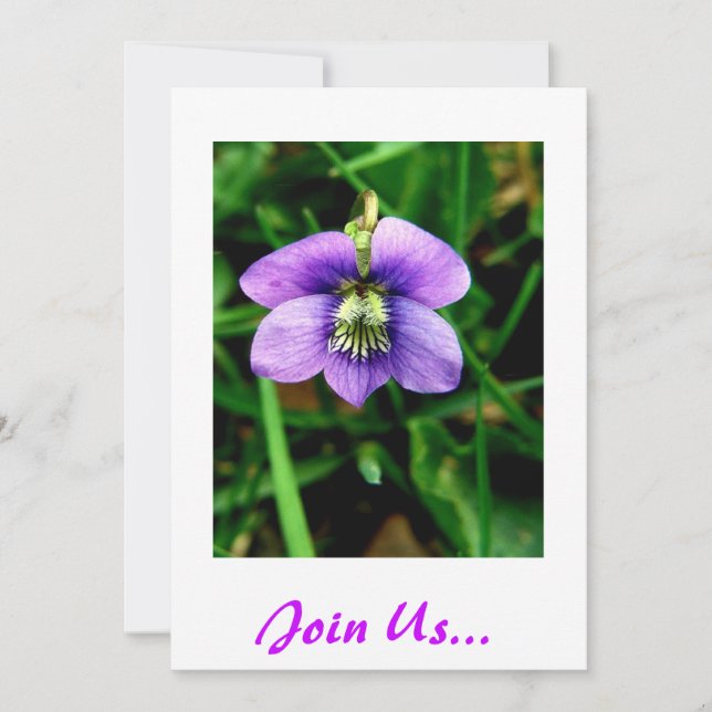 Join Us... Birthday Invite (Front)