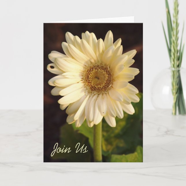 Join Us Invitation (Front)